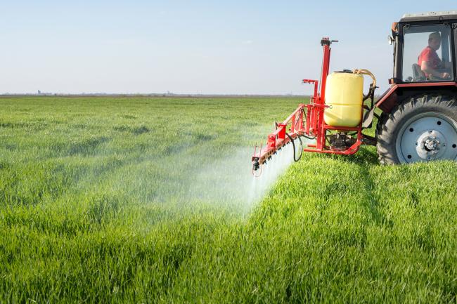 Chemical & Fertilizer Industries